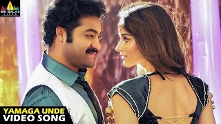 Shakti Songs  Prema Desam Video Song  Jr NTR Ileana  Sri Balaji Video [upl. by Adnuahsor]