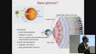 Nasıl görürüz Retina nasıl çalışır retina dejenerasyonu nedir [upl. by Salohcim833]