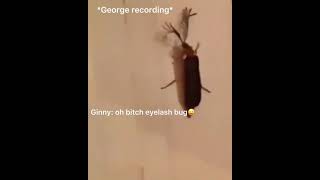 EYELASH BUG  FUNNY TIKTOK VIDEO [upl. by Gnoz]