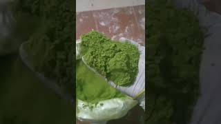 Moringa powder Moringa oleifera सुजना सेंजन मुनगा available 8218291270 [upl. by Lrigybab]