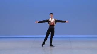 Yuzuki Kota 409  Prix de Lausanne 2019 classical [upl. by Atinhoj695]