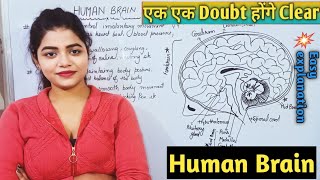 Brain Parts amp Function  Forebrain Midbrain Hindbrain  Control amp Coordination  Full Explanation [upl. by Cece875]