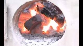 Tandoori food in Tandoor video Tandoori oven [upl. by Sitsuj]