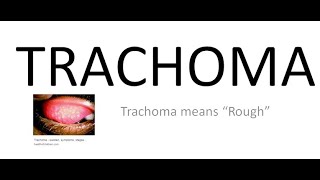 Ophthalmology 076 a Trachoma What is Chlamydial Trachomatis Conjunctivitis [upl. by Helsa234]