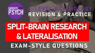 SplitBrain Research amp Lateralisation  Exam Questions amp Revision  ALevel  AQA Psychology [upl. by Eenyaj]