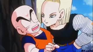 Android 18 kisses krillin [upl. by Gaw]