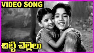 Chitti Chellelu  Telugu Super Hit Video Song  NTR Vanisri Rajasri Haranath [upl. by Nirred69]