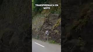 TRANSPIRENAICA EN MOTO shortvideo transpirenaica [upl. by Filemon]