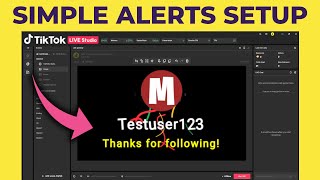 How To Get Follow Gift and Sub Alerts In 4 Minutes  TikTok LIVE TikFinity Tutorial [upl. by Edea]