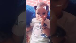 Lovely cat smile comedy funny memes fun ytshorts trending entertainment ytshorts [upl. by Carole]