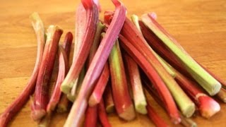 Rhubarb 101  Everything You Need To Know About Rhubarb [upl. by Seluj299]