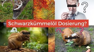 Schwarzkümmelöl gegen AsthmaDiabetes Bluthochdruck Brustschmerzen Wie soll ich es Dosierung [upl. by Nannek]