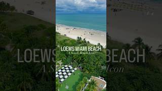 Loews Miami Beach Hotel [upl. by Htiekal514]