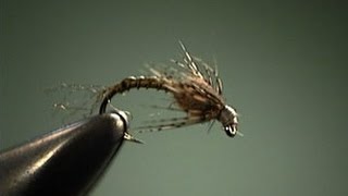 Doc Emerger fly tying video instruction by Shane Stalcup [upl. by Cailly618]