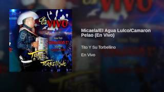 Tito Torbellino  Micaela El Agua Lulco Camaron Pelao En Vivo [upl. by Yddet718]