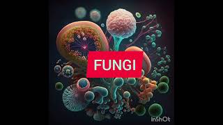 Fungi and Classification of Fungi  learn fungus and its types in simple way [upl. by Audie]