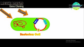 Gene Cloning and Plasmid Vector  Animated video  LiveTechScience [upl. by Meng]