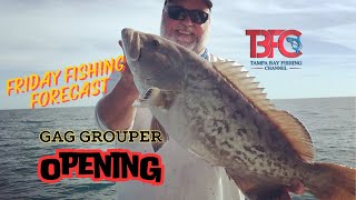 Friday Fishing Forecast Gag Grouper Opener [upl. by Zelazny]