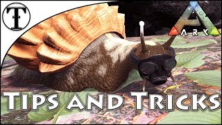 I Can Finally Ascend on Scorched Earth  ARK Survival Evolved E143 [upl. by Ruphina275]