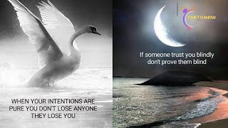 When Your Intentions Are Pure You Dont Lose Anyone They Lose You 😔  Positive Quotes About Life [upl. by Nevak]