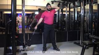 ABDOMINALS OBLIQUES  Low Pulley Cable Side Bends [upl. by Dyal]