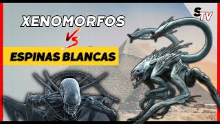 ✅Xenomorfos o Espinas Blancas ¿Cuál seria mas Letal ANALISIS [upl. by Essilem]