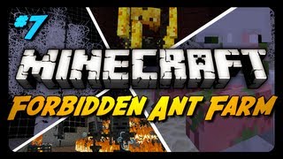 Forbidden Ant Farm Survival  Ep 7  ENDERMAN RAGE [upl. by Jephthah264]