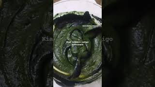 മുടി കറുപ്പിക്കാൻ ഇനി ഇതുമാത്രം മതിKIAH Organic Indigo Natural indigo Powder [upl. by Nidya861]