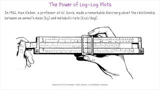 The Power of LogLog Plots [upl. by Alimhaj832]