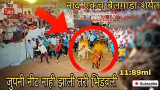 🔴💥 जुपनी नीट नाही झाली तरी भिडवली  बैलगाडा शर्यत 😈👑 Bailgada Sharyat  viral [upl. by Atul679]