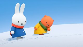 Follow the Footprints  Miffy  New Series  Miffys Adventures Big amp Small [upl. by Eiznikam]