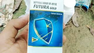 BISPYRIBAC SODIUM 10 WV SCFUTURA GOLD kheton mein Dene Ka Sahi tarika jaane paddy natural [upl. by Gilly]