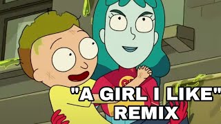 A Girl I Like  Rick and Morty Remix  Morty Beth And Planetina [upl. by Pallua]