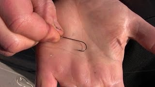 How to Rig a Live Minnow for Maximum Action  Different Ways to Hook Minnows [upl. by Lagasse874]