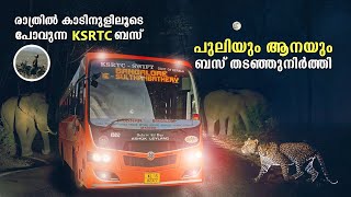 പുലിയും ആനയും ബസ് തടഞ്ഞുനിർത്തി  Muthanga Bandipur Mudumalai Forest Ksrtc Night Bus  free20 [upl. by Winther]