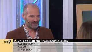 Nytt vaccin mot pälsdjursallergi  Nyhetsmorgon TV4 [upl. by Amesari]