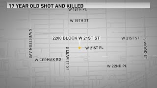 Two homicides reported overnight in Chicago CPD [upl. by Eveneg]