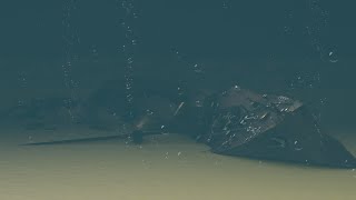 Wreck of the RMS Lusitania  Blender Animation [upl. by Novak531]