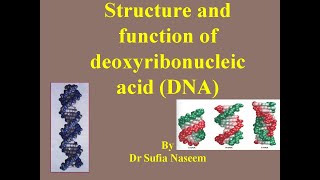 Structure of DNA primary secondary tertiary and quaternary [upl. by Nonnek596]