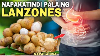 LANZONES 10 HEALTH BENEFITS amp RISKS OF EATING LANZONES FRUIT  Ang dami pala nagagamot ng Lanzones [upl. by Kilam]