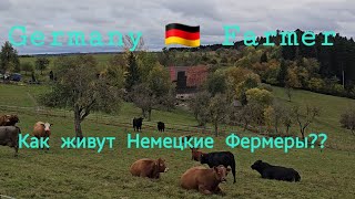 Germany 🇩🇪 Balingen Как живут Немецкие Фермеры [upl. by Annahavas]