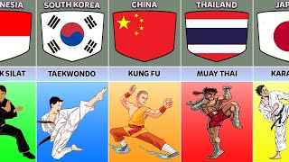 Martial Arts From Different Countries [upl. by Christabella]