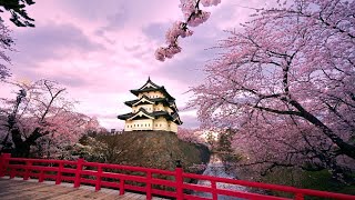 🏯🇯🇵 MustVisit Travel Destinations 2023 Japans Hirosaki City Hall Rooftop View shorts [upl. by Anayit]