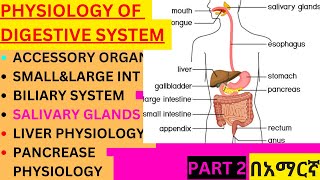 PHYSIOLOGY OF DIGESTIVE SYSTEM PART 2 IN AMHARICLIVER PHYSIOLOGYPANCREASE PHYSIOLOGYBILIARY SYS [upl. by Maren]