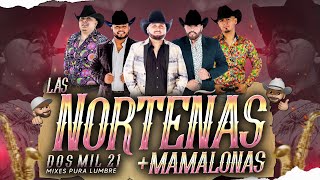 Las Norteñas Más Mamalonas del 2021  By Dj Alfred  EXITOS 2021  La Fiera Rienda Real La Fe [upl. by Vallonia338]