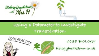 Using a Potometer to Investigate Transpiration with Exam Questions [upl. by Repsac]