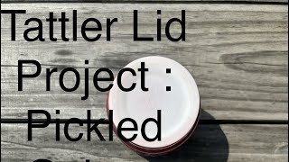 Canning pickled Onions using Tattler Lids [upl. by Neeloc]