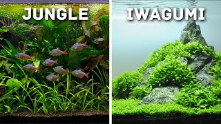 MustTry Aquascaping Styles for Your Planted Aquarium [upl. by Ynagoham]