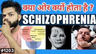 Schizophrenia Explained In Hindi  Schizophrenia Causes Symptoms Diagnosis amp Treatment [upl. by Berenice696]