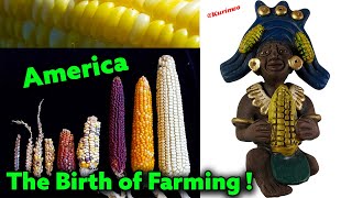 The Birth of Farming In America  Maize  Agriculture  Civilization  Ancient Genetic Modification [upl. by Sanson]